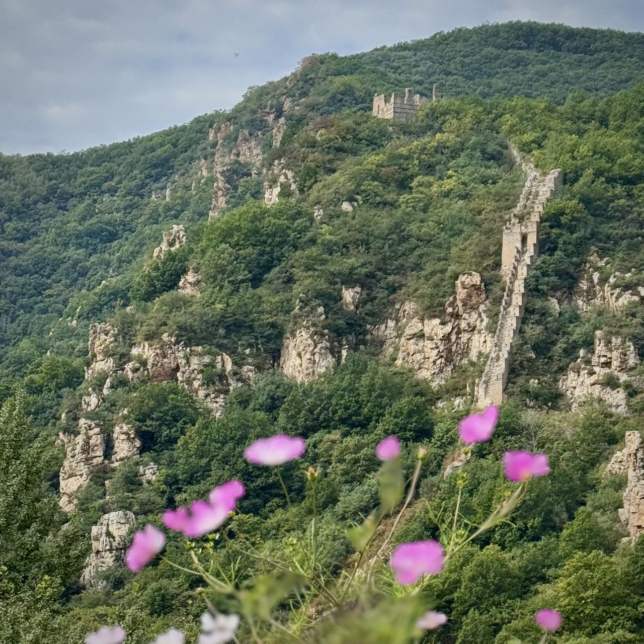 The Great Wall with Flowers